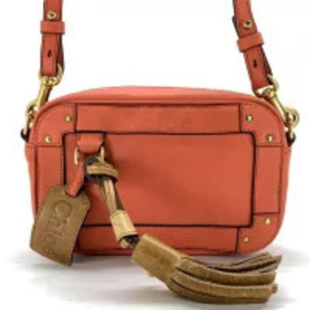 Chloe EDEN Fringe Shoulder Bag Papaya Orange Leather Pouch Clutch Sacoche